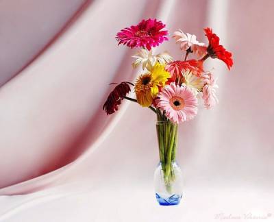 Ваза с цветами (Категория фото: Цветы)