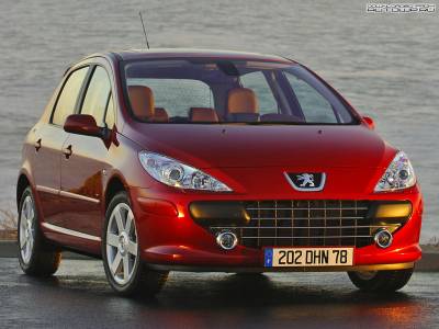 Peugeot 207 (Категория фото: Авто/Мото)