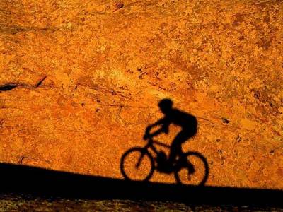 Велоспорт (Категория фото: Спорт)