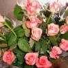 Розовые розы (Цветы)