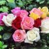 Букет из разных Роз (Цветы)