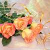 Свадебный букет Роз (Цветы)