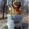 Памятник свинке в г. Ромны (Города)