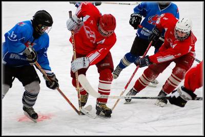Хоккей (Категория фото: Спорт)